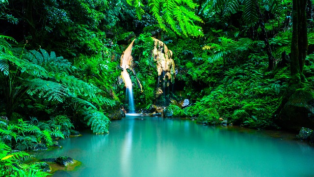 Vodopády na Azoroch.jpg